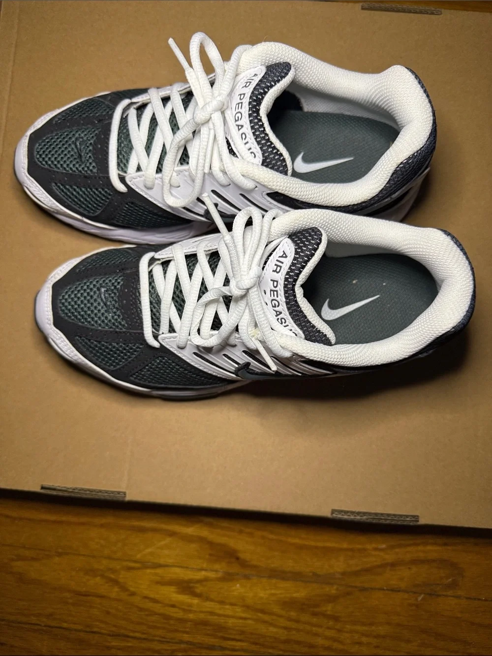 Nike Pegasus Womens